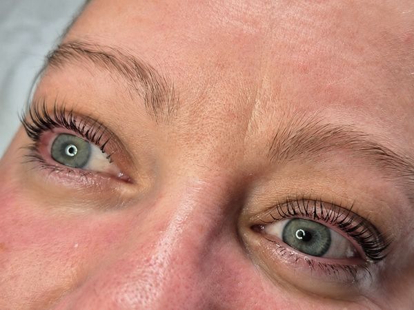 Lashes & Browbar